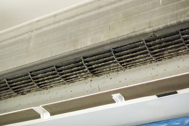 Best Air Duct Mold Removal  in Lenox, IA